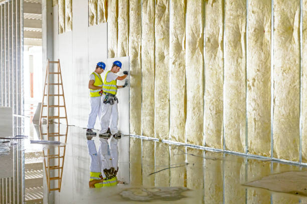 Insulation for Commercial Buildings in Venetian Village, IL